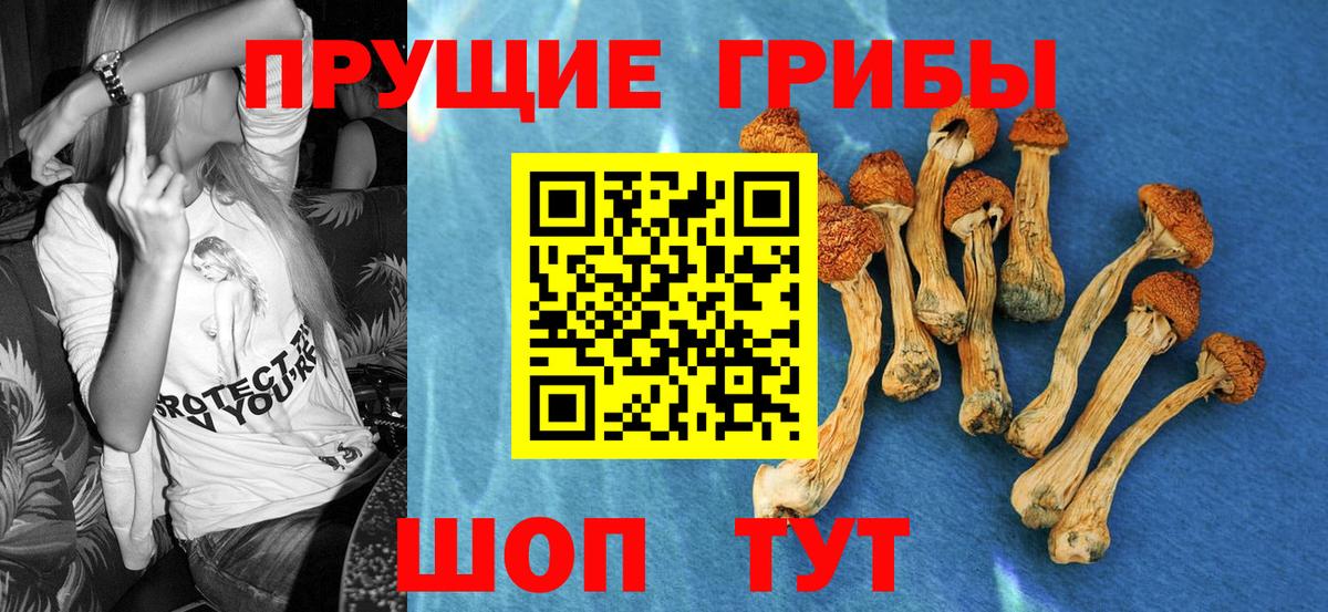 Губкин  Псилоцибиновые грибы мицелий  Вход с VPN 